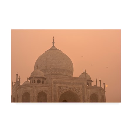 Dan Ballard 'Taj Mahal 2' Canvas Art,30x47